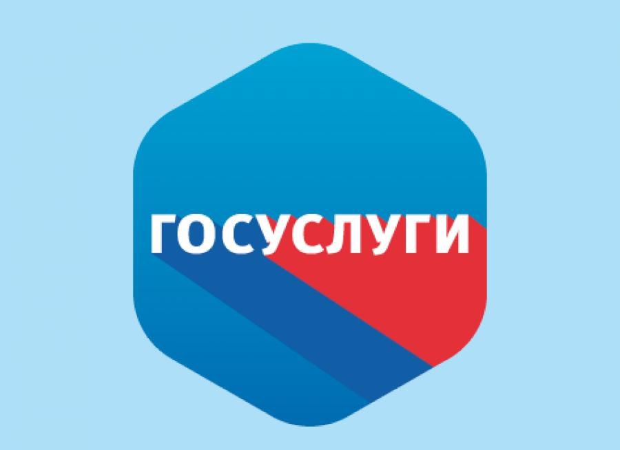 Напоминаем, что житель Нижегородской области могут подать документы на получение мер социальной поддержки в электронном виде.